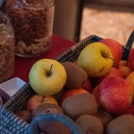 Szálloda Dado International